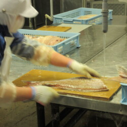 フィレ処理 フィレ処理